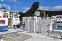Catamaran for sale