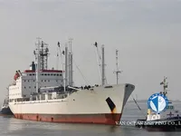 Reefer ship for sale