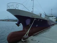 General Cargo/Multi-purpose for sale