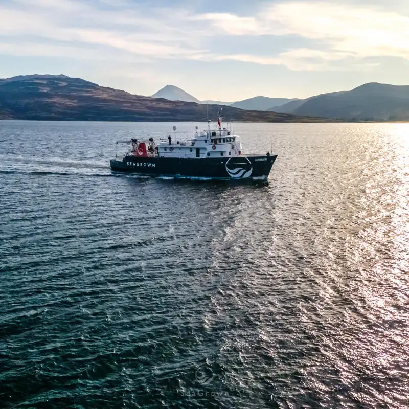Survey vessel for sale