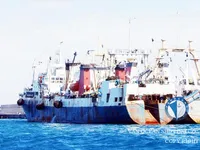 Trawler for sale