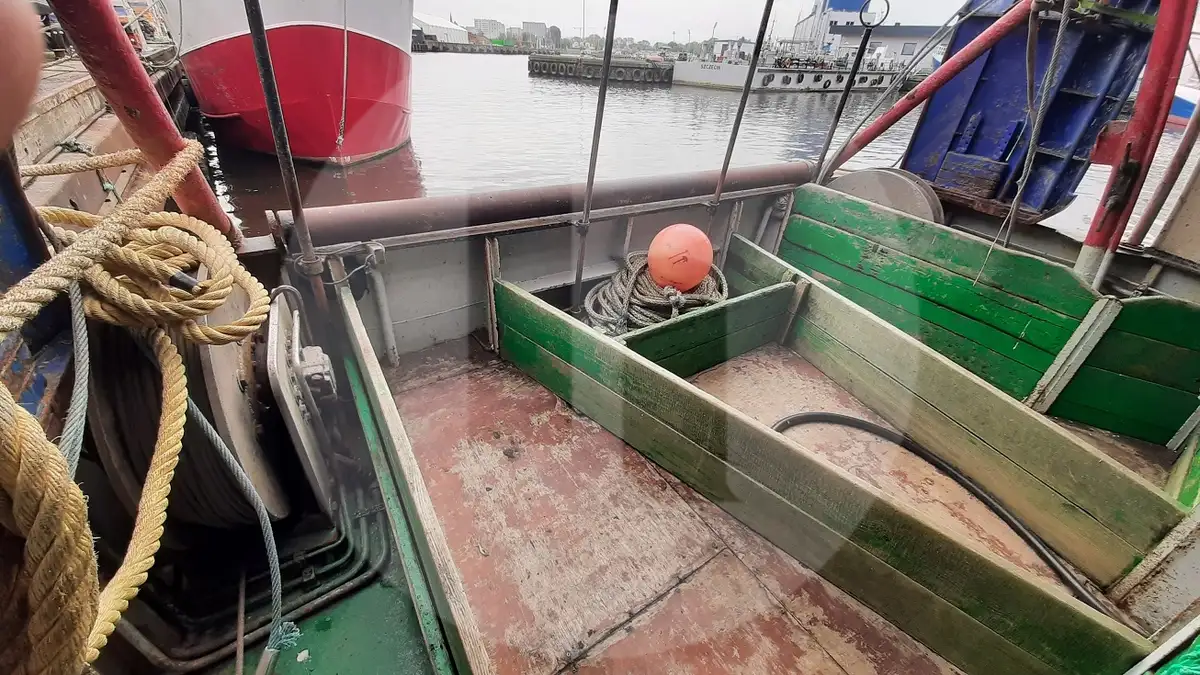 Live fish carrier for sale