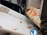 Trawler for sale