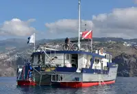Towboat for sale