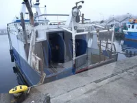 Live fish carrier for sale