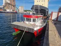 Catamaran for sale