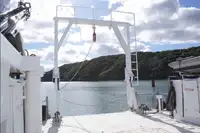 Catamaran for sale