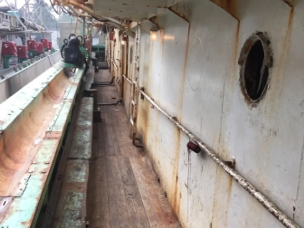 Squid jigger for sale