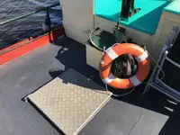 Tugboat for sale