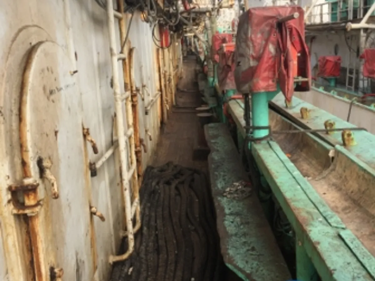 Squid jigger for sale