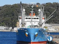 Reefer ship for sale