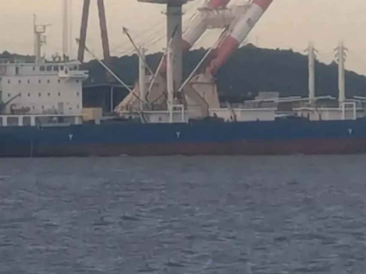 Reefer ship for sale