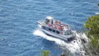 Dive support for sale