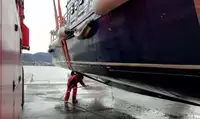Workboats for sale