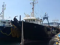 Trawler for sale