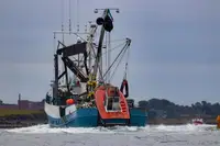 Purse seiner for sale