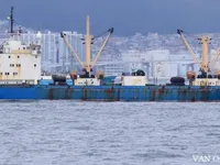 Reefer ship for sale