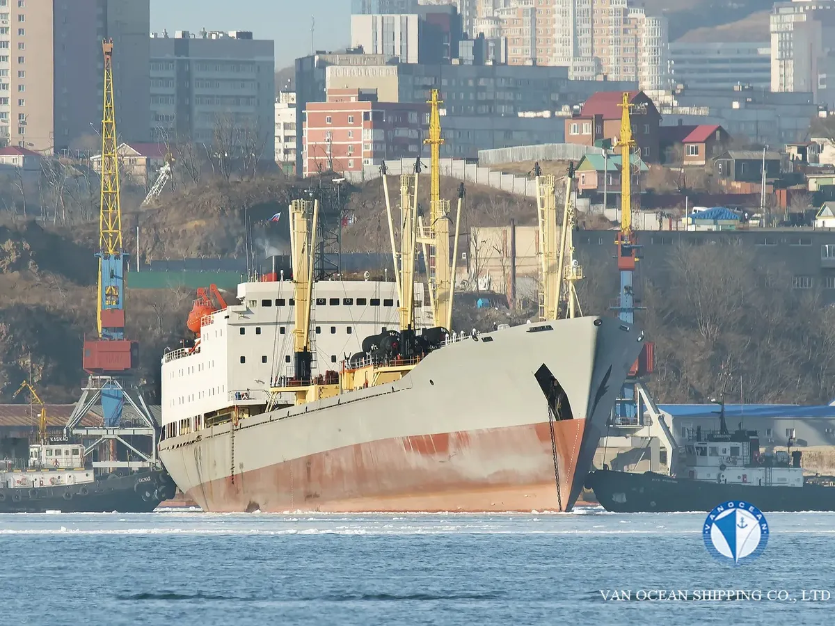 Reefer ship for sale