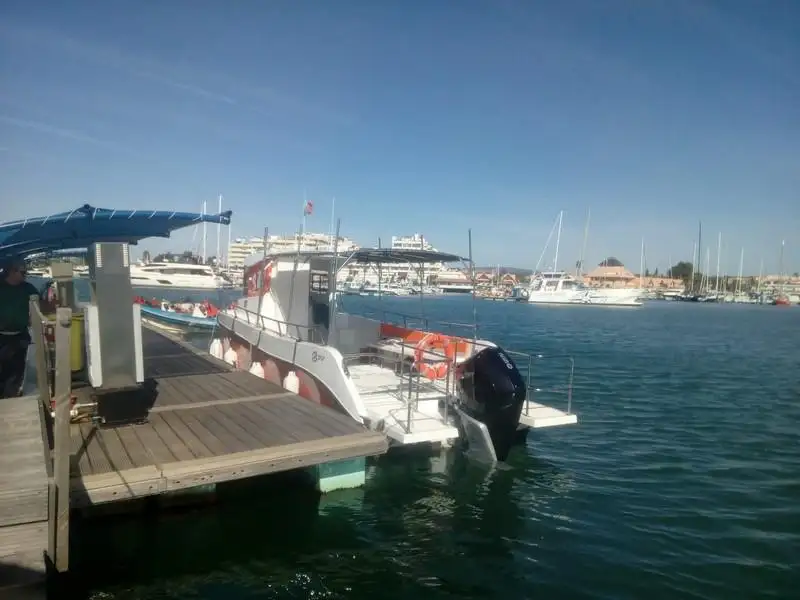 Dive support for sale