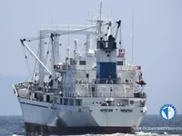 Reefer ship for sale