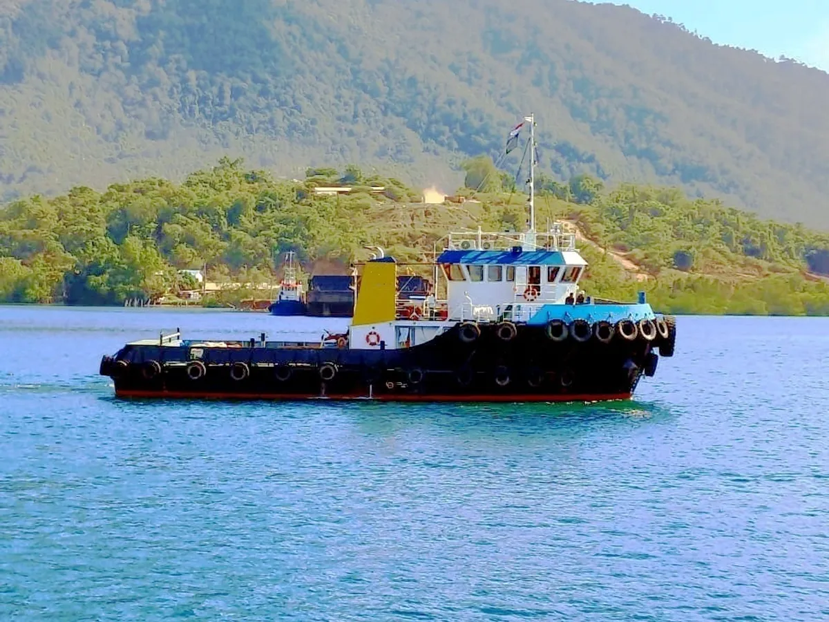 Towboat for sale