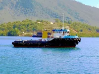 Towboat for sale