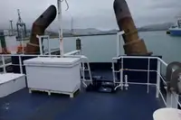 Towboat for sale