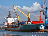 Reefer ship for sale