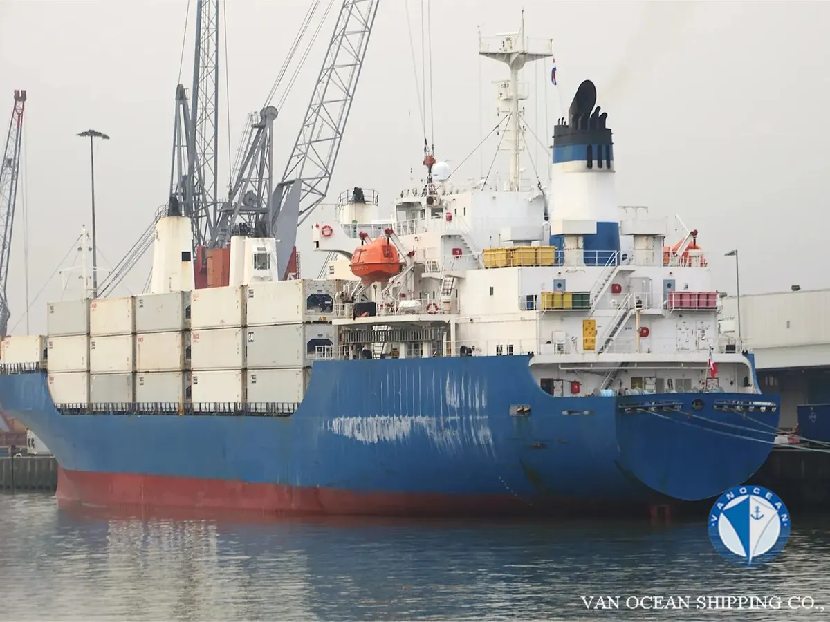 Reefer ship for sale