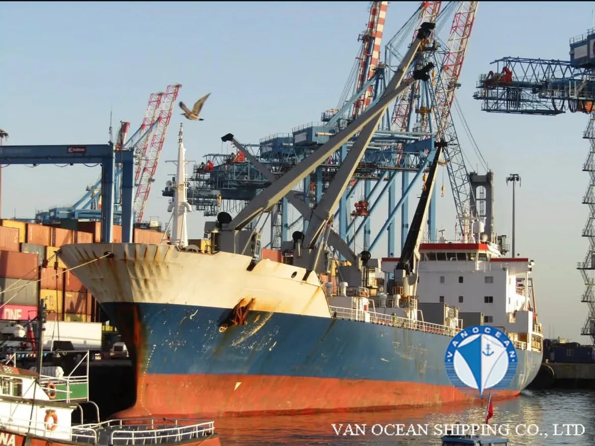 Reefer ship for sale