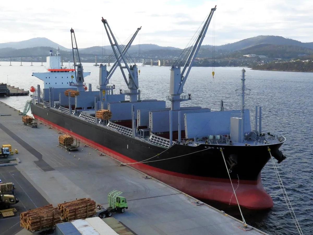 Bulk carrier for sale