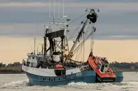 Purse seiner for sale