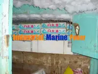 Longliner for sale