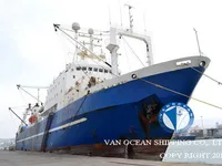 Trawler for sale