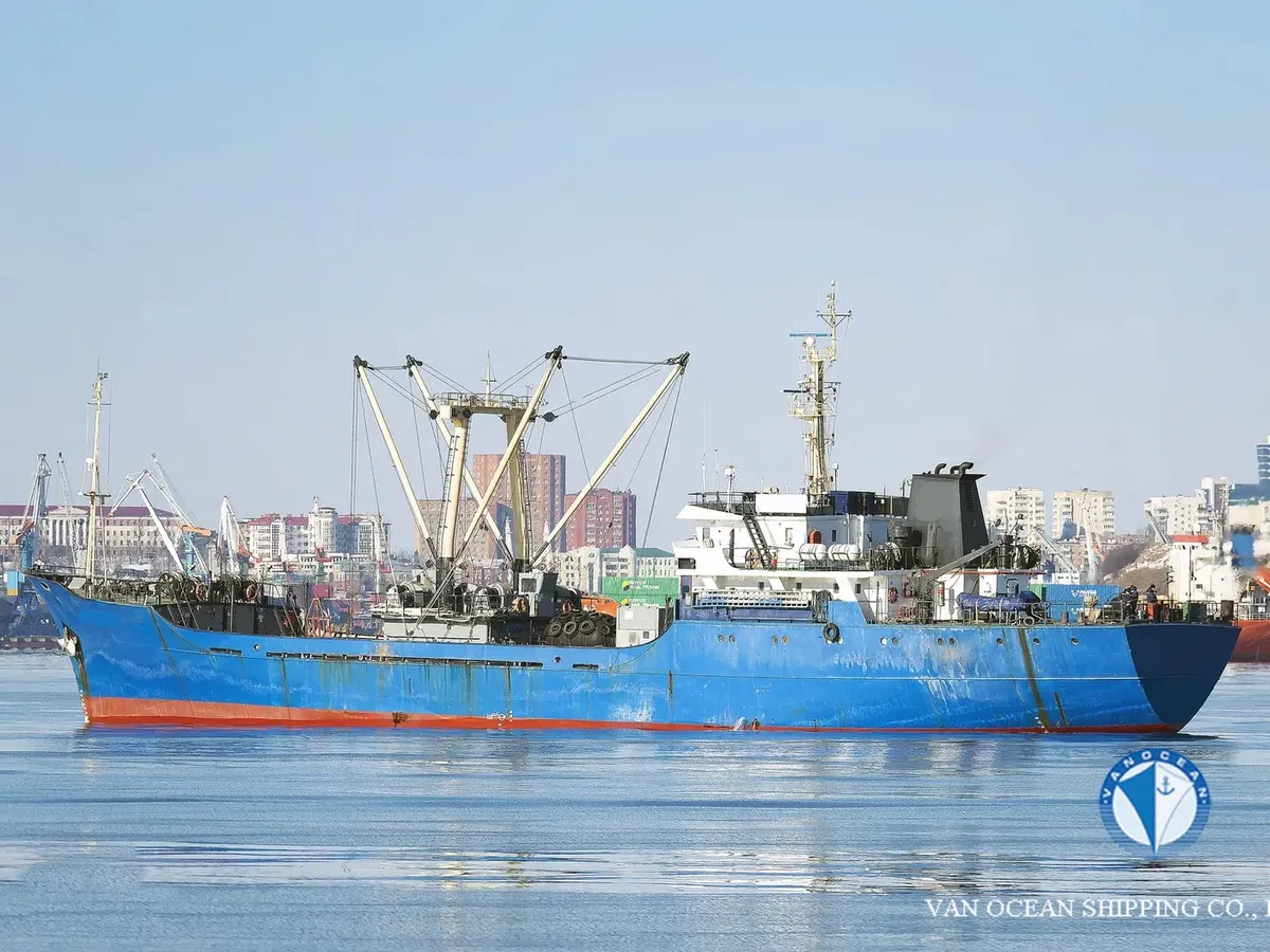 Reefer ship for sale