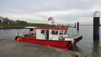 Catamaran for sale