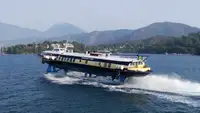 Ro-Ro ship for sale