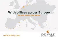 Cruise ship for sale
