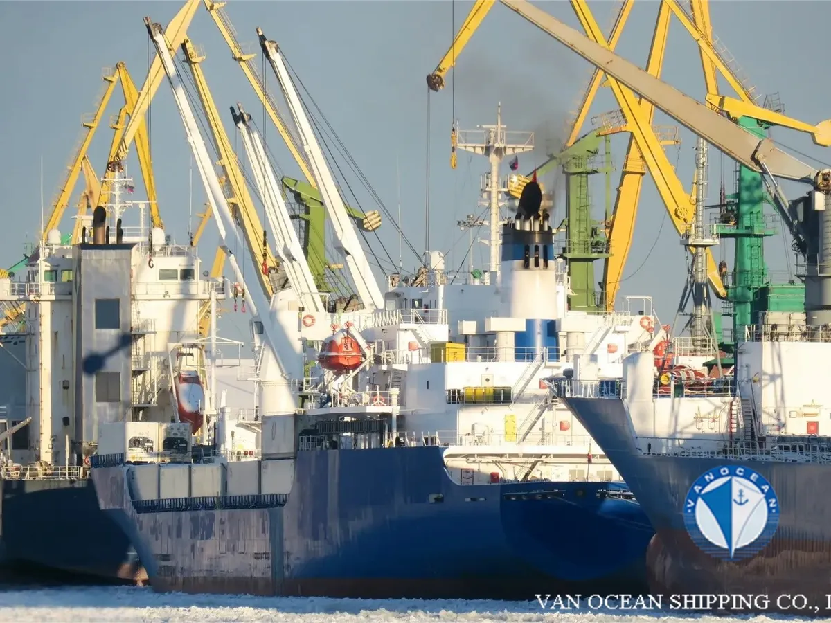 Reefer ship for sale