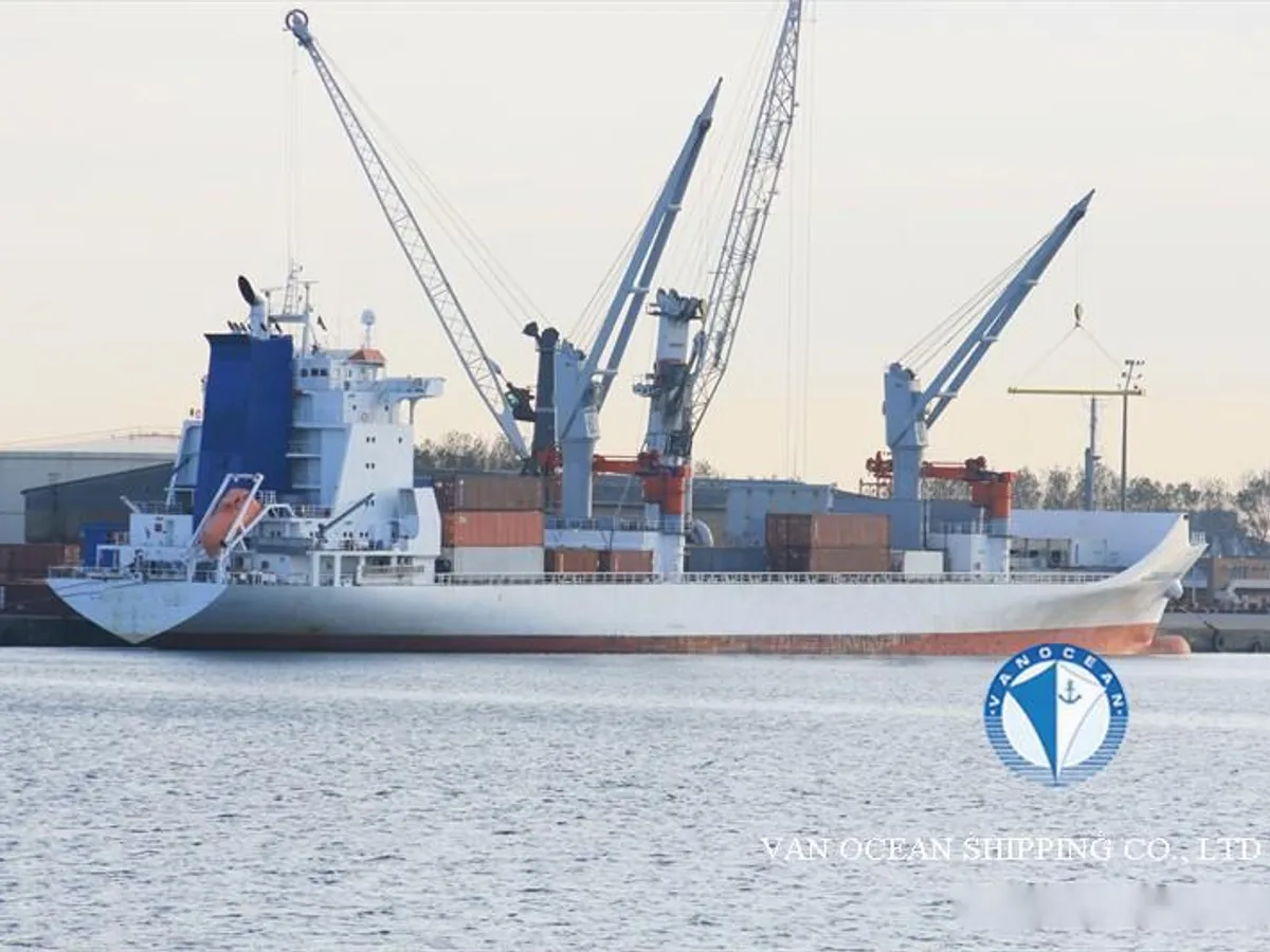 Reefer ship for sale