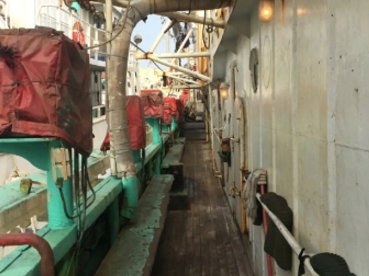 Squid jigger for sale