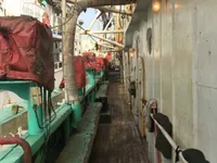 Squid jigger for sale