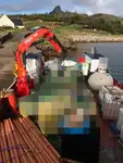 Workboats for sale