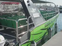 Passenger ship for sale