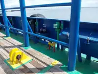 Bulk carrier for sale