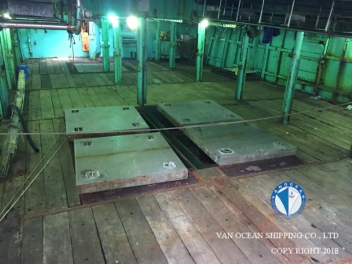 Squid jigger for sale