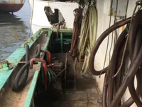 Squid jigger for sale