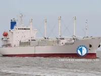 Reefer ship for sale