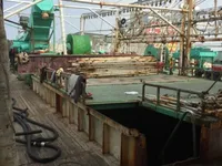Squid jigger for sale