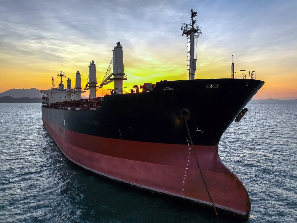 Bulk carrier for sale